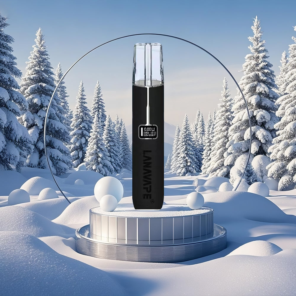 LANA  拉娜 皮革主機